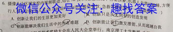 安徽省萧县四校联考2024届九年级纠错练习（1.03）政治~
