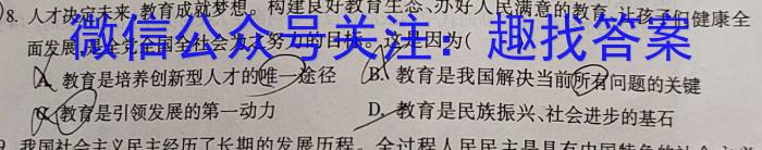 安徽省2023-2024学年度九年级上学期阶段性练习（三）政治~