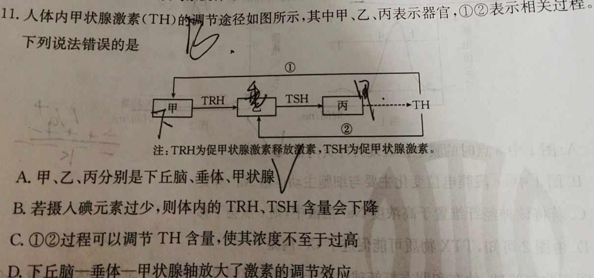 安徽第一卷·2023-2024学年安徽省九年级教学质量检测(12月)生物