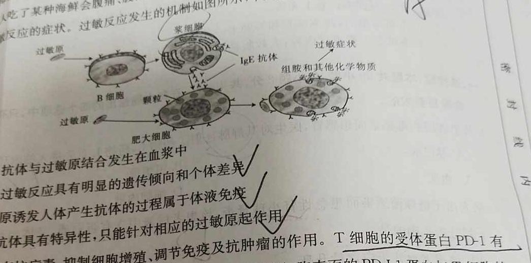 吉林省牡丹江二中2023-2024学年度第一学期高二学年12月月考考试(9091B)生物学部分