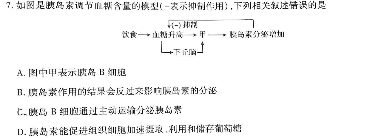 ［河南大联考］河南省2024届高三年级上学期12月联考生物学部分