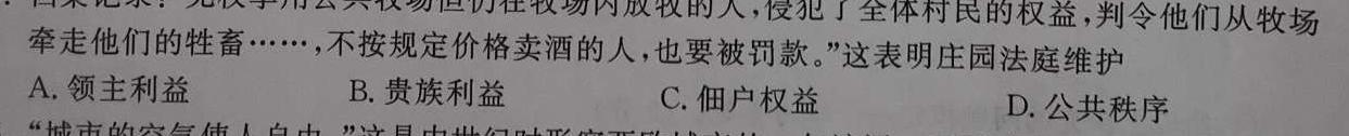 安徽省阜阳市2023-2024学年度九年级第三次月考检测（三）△历史