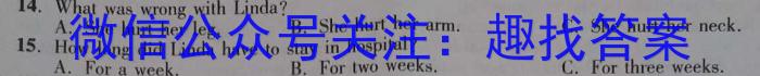 山东省2023-2024学年高三年级新高考联合质量测评12月联考英语
