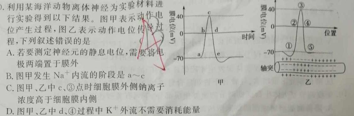 陕西省2023-2024学年度九年级第一学期第三阶段创新作业生物学部分