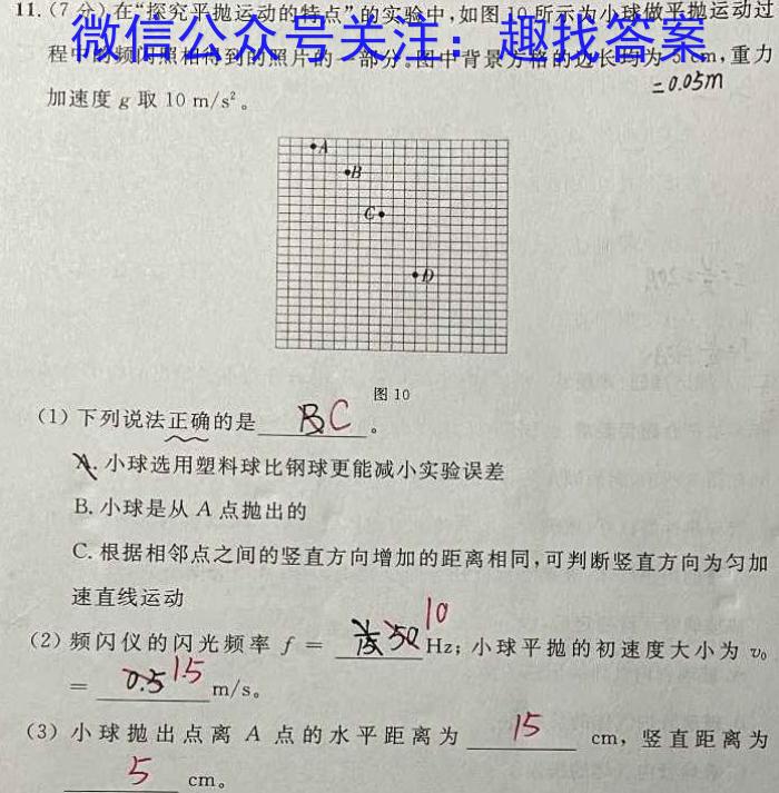 河北省沧州市2023-2024学年度九年级第一学期期中教学质量评估l物理