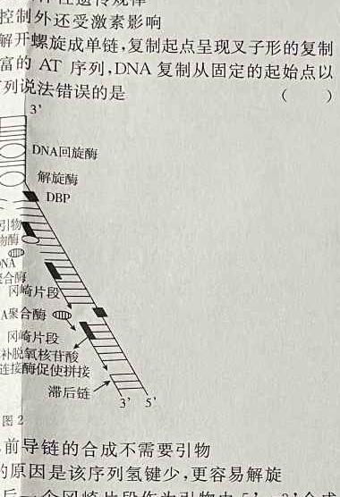 2024年全国高考仿真模拟卷(四)4生物