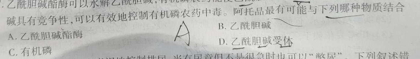 广东省2024届普通高中毕业班第二次调研考试(11月)生物学部分