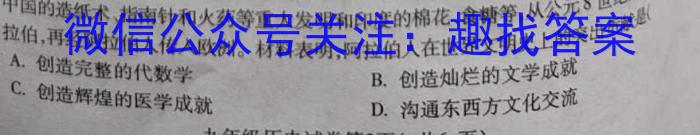 安徽省合肥市某校2023-2024学年九年级阶段检测历史试卷答案