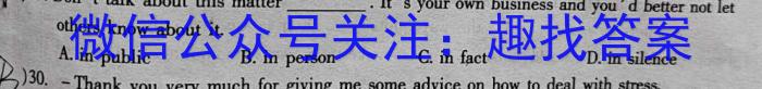 陕西省2024届九年级教学素养测评（三）A英语