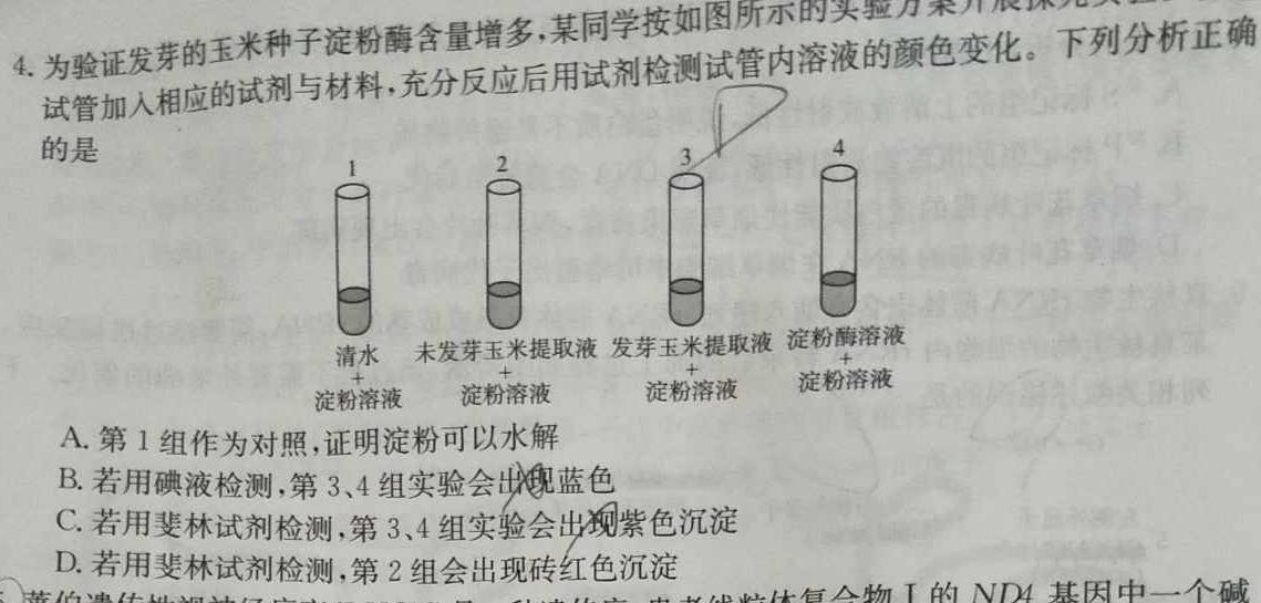 陕西省2023-2024学年度高二年级12月联考生物