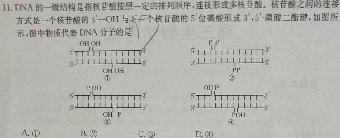 2023-2024学年广东省高一11月联考(24-112A)生物