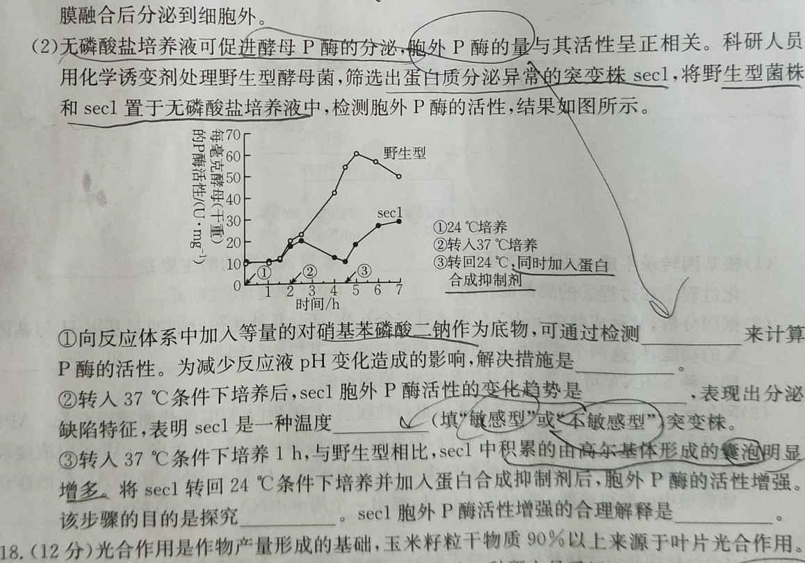 运城市2023-2024学年高三第一学期期中调研测试(2023.11)生物