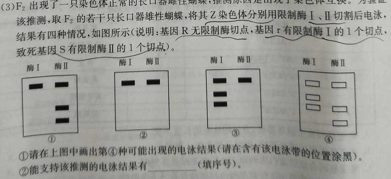 陕西省四校联考2024届高三年级上学期12月联考生物学部分