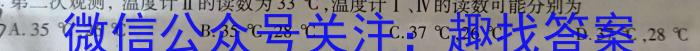 河南省2024-2025年度高一年级入学调研考试地理试卷答案