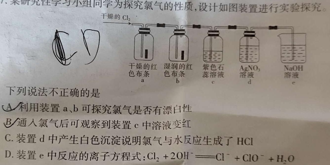 1山东省泗水县2023-2024学年第一学期高三年级期中考试化学试卷答案