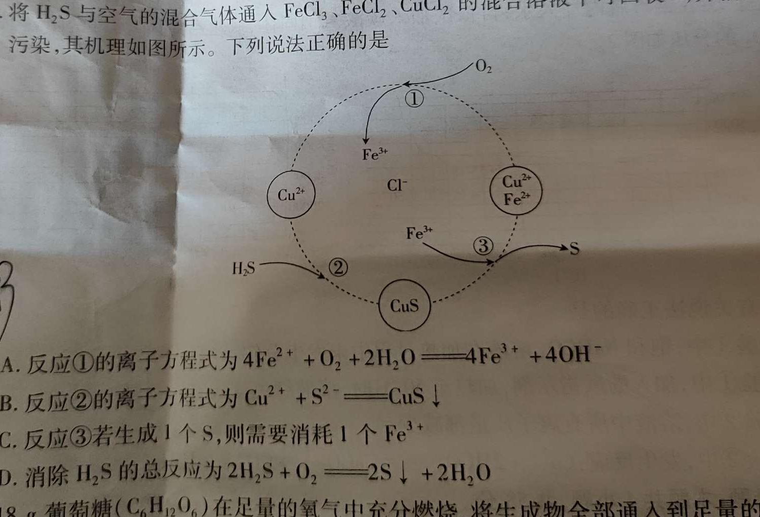 【热荐】［河南大联考］河南省2024届高三11月联考化学