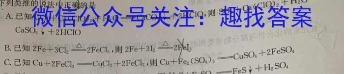 q安徽省2023-2024学年度第一学期九年级作业辅导练习(三)化学