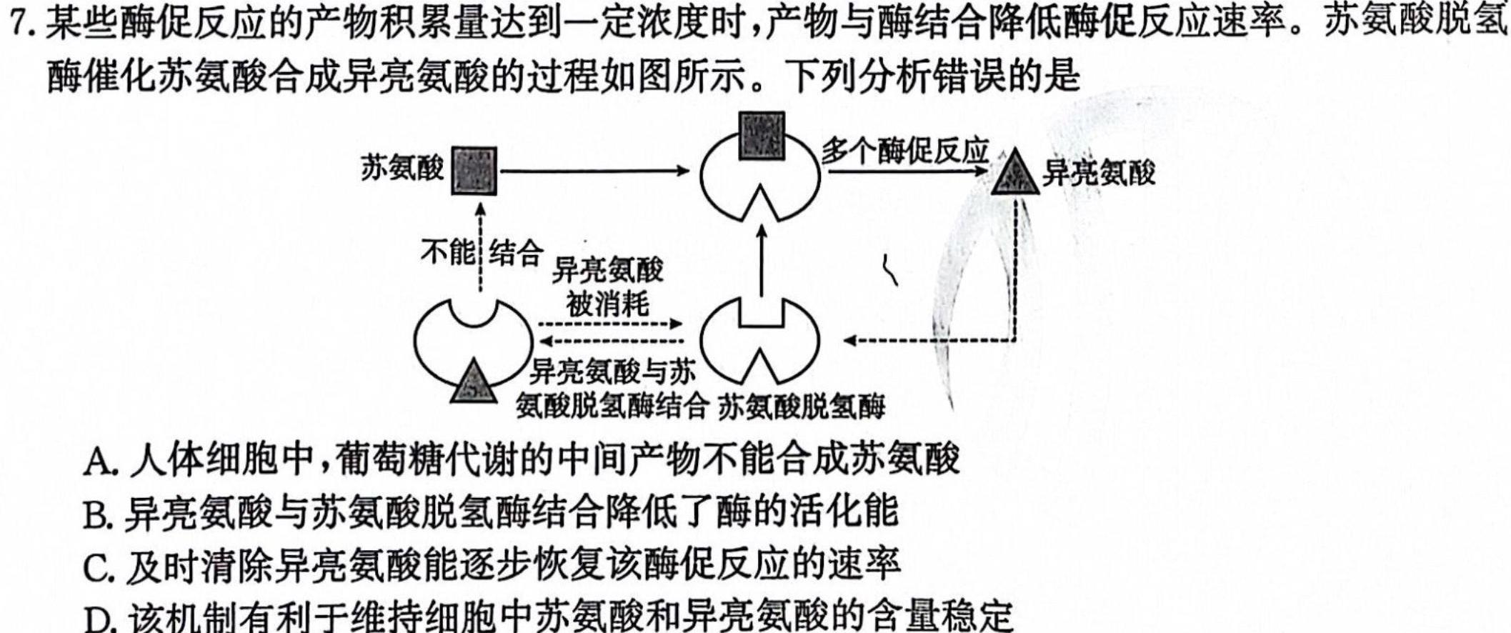 华大新高考联盟2024届高三11月教学质量测评(全国卷)生物