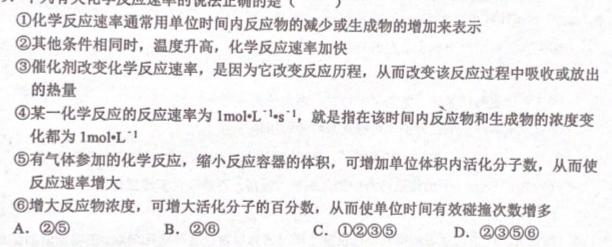 1高考快递 2024年普通高等学校招生全国统一考试·信息卷(七)7新高考版化学试卷答案