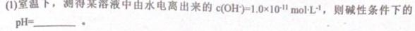 1安徽省合肥市某校2023-2024学年九年级阶段检测化学试卷答案