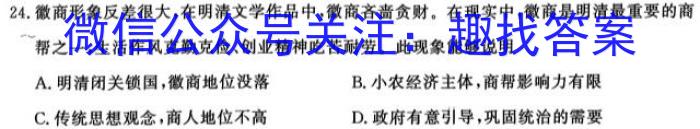 安徽省十联考·安合肥一中2024届高三第二次教学质量检测卷历史