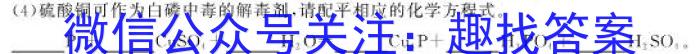 q安徽省潘集区2023-2024学年度九年级第一次联考化学