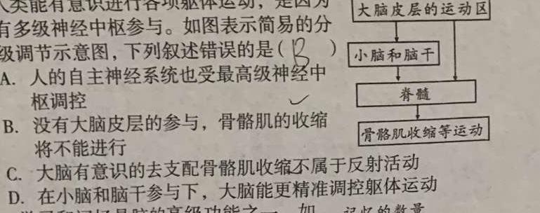 ［河北大联考］河北省邢台市五岳联盟2023-2024学年高三（上）期中考试生物