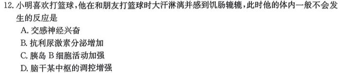 2024年普通高等学校全国统一模拟招生考试新未来高一12月联考生物学部分