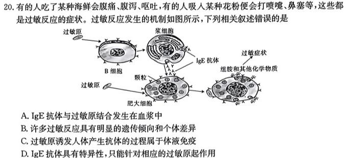 安徽省2023-2024学年度九年级第三次月考（12.12）生物