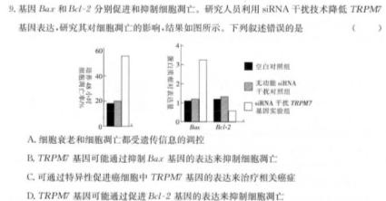 2023年广西三新学术联盟高一年级12月联考生物