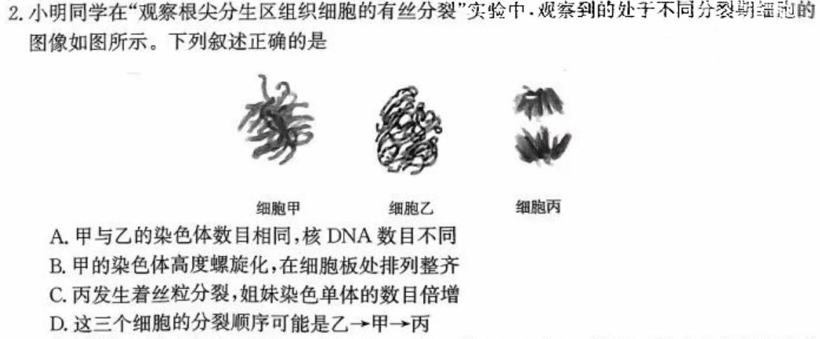 ［湖南大联考］湖南省2024届高三年级上学期12月联考生物