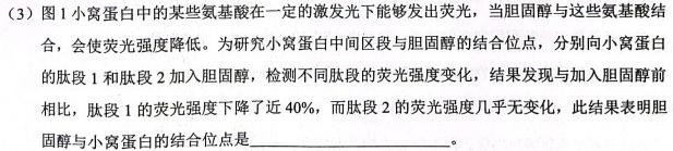 2024届衡水金卷先享题调研卷(JJ)(二)2生物学部分