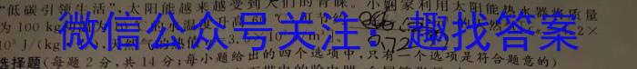 衡水金卷·广东省衡水金卷·2024届高三年级11月份大联考q物理