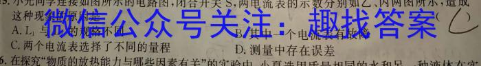 九师联盟·2024届高三11月质量检测巩固卷（LG）q物理