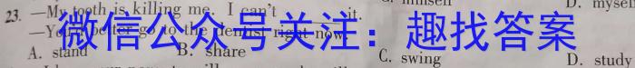 深圳外国语学校(集团)高中部2024届高三年级第四次月考英语
