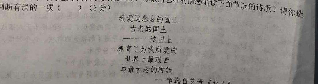 [今日更新][淮北一检]淮北市2024届高三第一次质量检测语文试卷答案