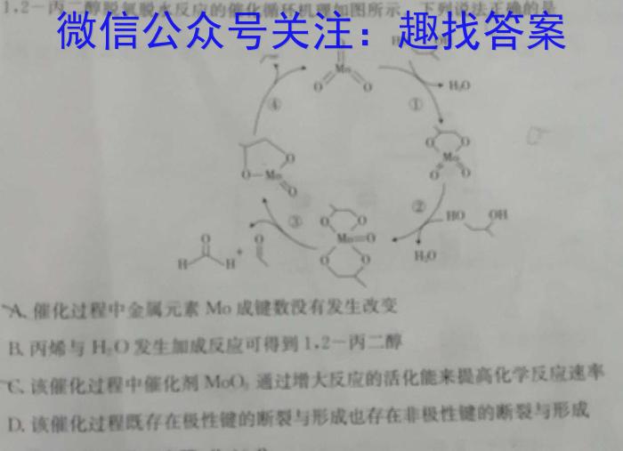 q浙江精诚联盟2024届高三12月适应性联考化学