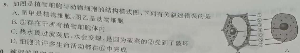 安徽省2024届“皖南八校”高三第二次大联考生物