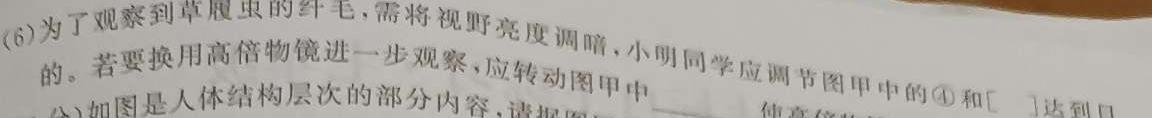 山西省运城市实验中学2023-2024学年第一学期七年级第二阶段性测试生物学部分