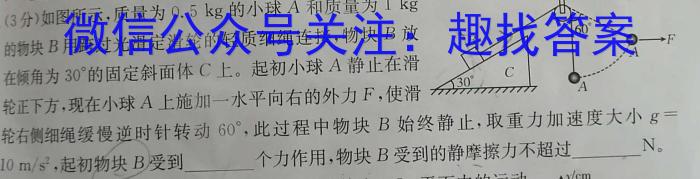 河北省2023年NT20名校联合体高一年级12月考试q物理