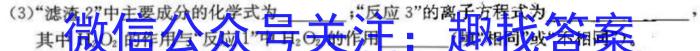 3百师联盟·江西省2023-2024学年度高二年级上学期阶段测试卷（三）化学试题