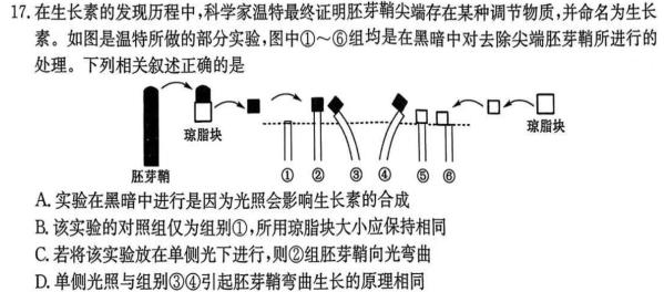 黑龙江齐齐哈尔普高联谊校高三11月联考(24024C)生物