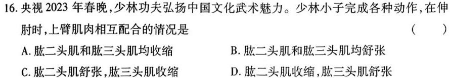 高考快递 2024年普通高等学校招生全国统一考试信息卷(一)1新高考版生物