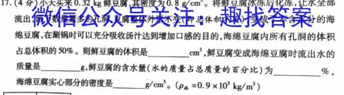 百师联盟 2024届高三仿真模拟考试新教材90/75分钟(四五)l物理