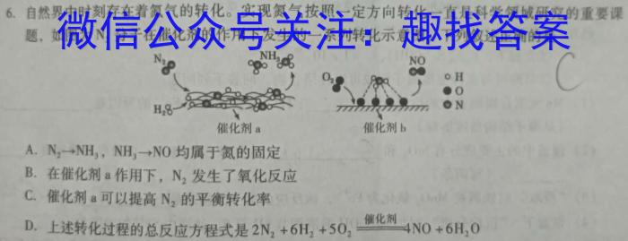 【精品】金考卷 百校联盟(新高考卷)2024年普通高等学校招生全国统一考试 领航卷(九)化学