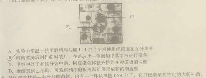 安徽省2023~2024学年度届九年级阶段诊断 R-PGZX F-AH(三)3生物学部分