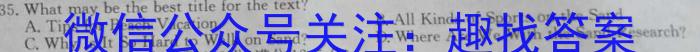 河南省2024届九年级第一学期学习评价（2）英语