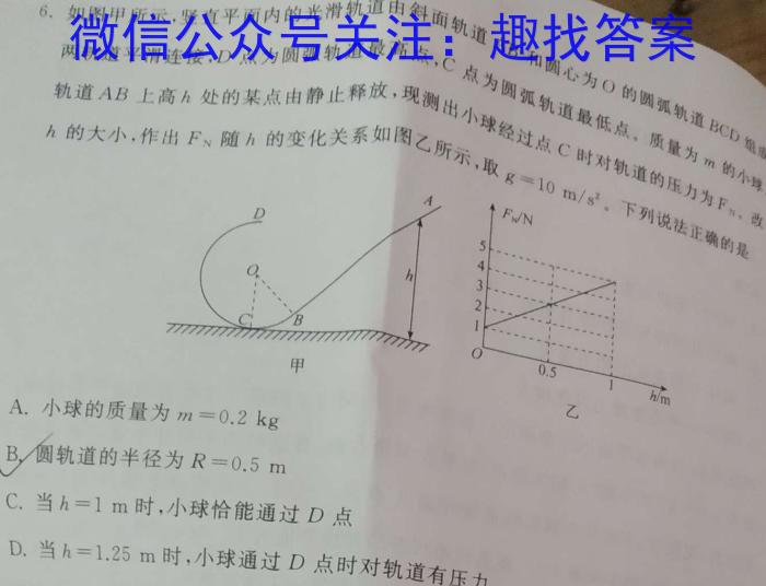 ʡ2023-2024ѧȾ꼶׶ϰxԾ