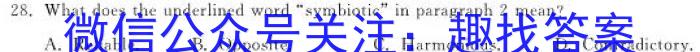 安徽省2023-2024学年八年级上学期学业水平监测(12月)英语