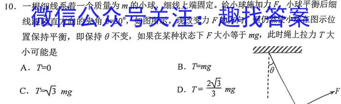 百师联盟2024届高三年级上学期11月联考（广东专版）物理`